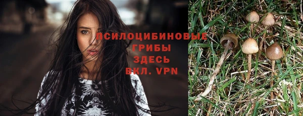 a pvp Нефтегорск