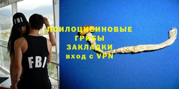 твердый Нея