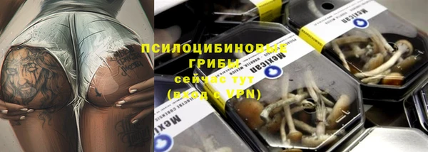 твердый Нея