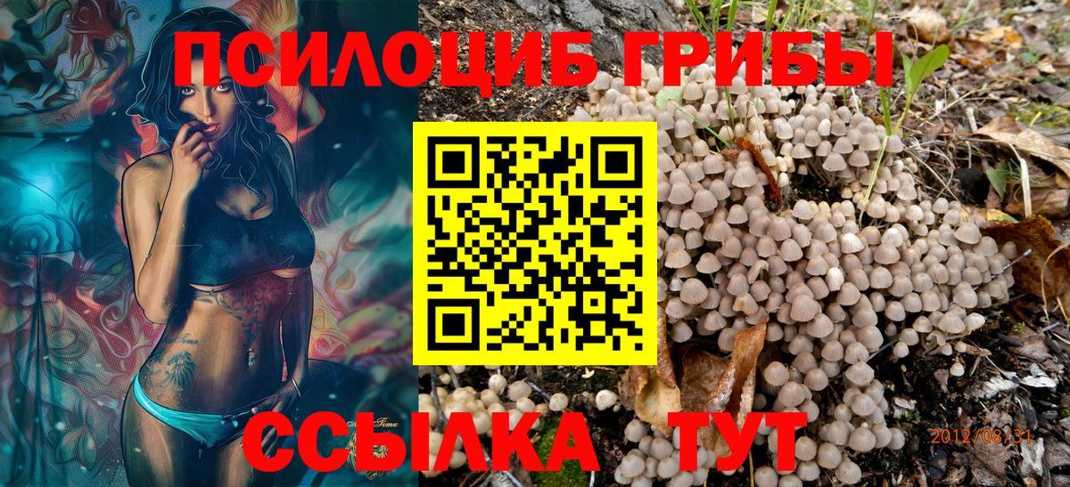 Галлюциногенные грибы MAGIC MUSHROOMS  Фролово  сколько стоит  Галлюциногенные грибы Psilocybe 