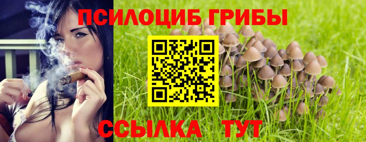 Галлюциногенные грибы мухоморы Фролово