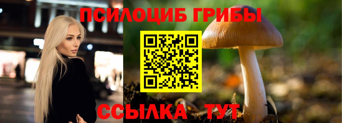 Фролово  Галлюциногенные грибы Psilocybine cubensis  Вход с VPN 